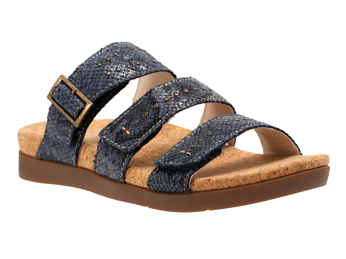 Spring Slide